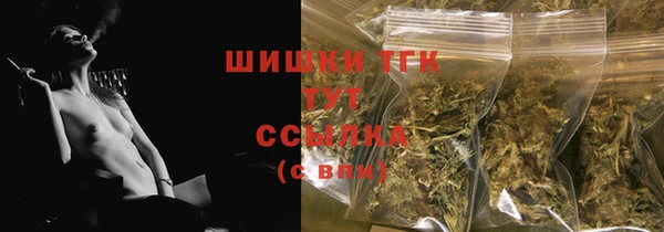 PSILOCYBIN Пересвет