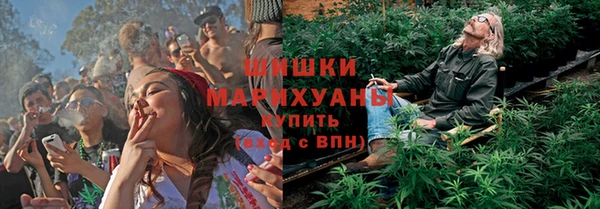 PSILOCYBIN Пересвет