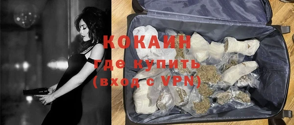 PSILOCYBIN Пересвет